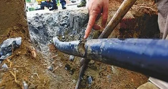 ���W���g