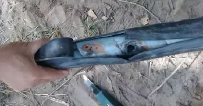 ��|й¶�Ը������